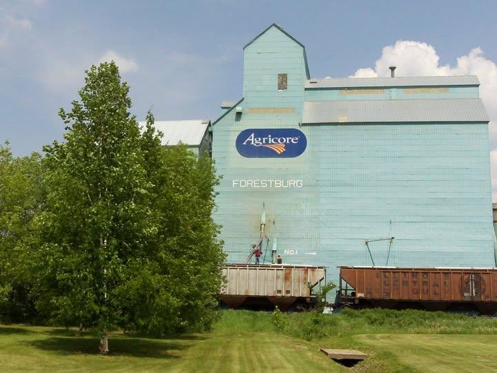 Grain elevator in Forestburg, Alberta with railway cars in the foreground